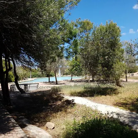 Los Europeos La Mata (Torrevieja)